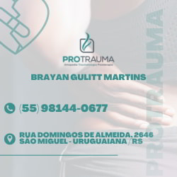Brayan Gulitt Martins