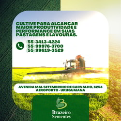 Brazeiro Sementes