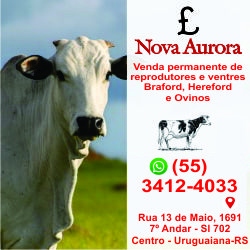 Nova Aurora