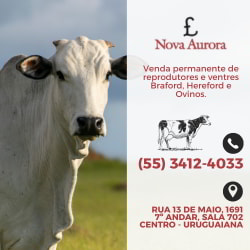 Nova Aurora