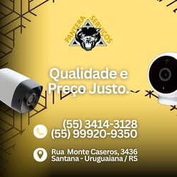 Pantera Serviços
