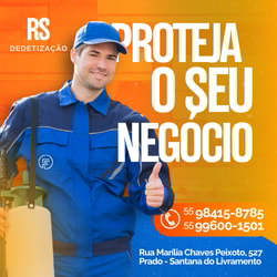 RS Dedetização