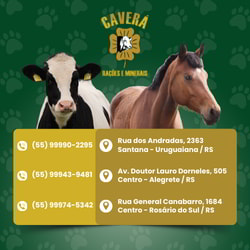 Veterinária Caverá