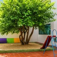 Parquinho com caixa de areia e árvore da Escola Manoel de Barros na Vila Almeida Lima em Campo Grande/MS!