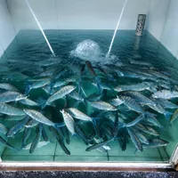 Tanque com iscas vivas de peixes na Isca Viva Boa Pesca e Lanchonete no Indubrasil em Campo Grande - MS.