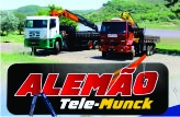 Logomarca da Alemão Tele-munck Serviço de Caminhão Munck e Guindaste