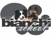 Canil Bianchi School