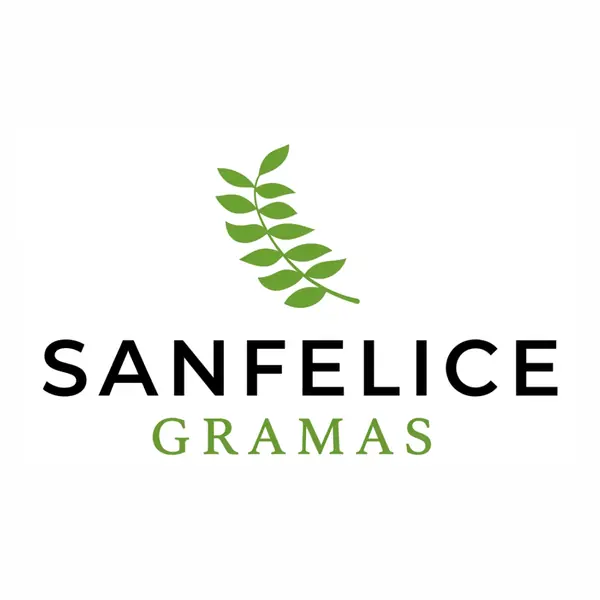 Logomarca da Sanfelice Gramas